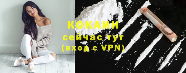 дживик Видное